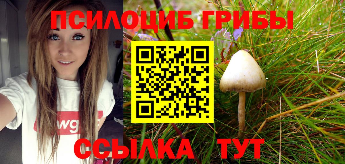 Псилоцибиновые грибы Magic Shrooms Старый Оскол